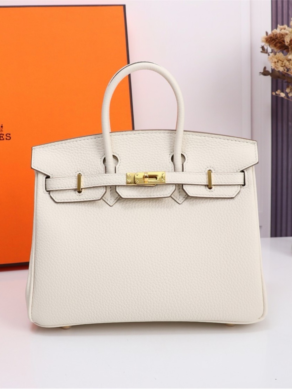 Hermès Birkin 25 Nata Togo Bag